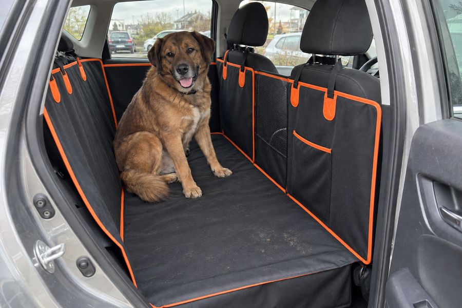 Brauner Hund auf einer schwarzen Autoschutzdecke mit orangefarbenen Details